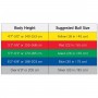 Thera-Band Pro Series SCP Exercise Ball