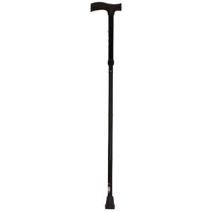 Photo of Folding Cane