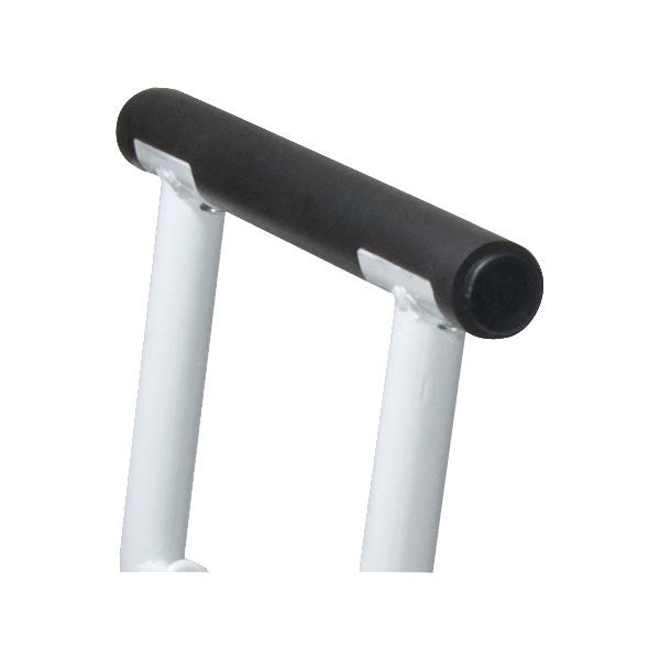Stand Alone Toilet Safety Rail  rtl12079