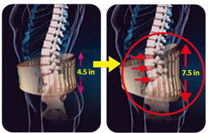 Dr Ho's 2-in-1 Decompression Back Belt