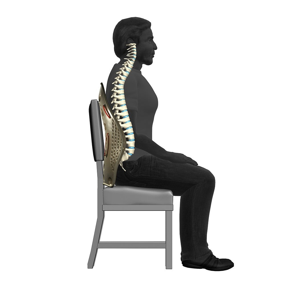 Dr Ho's PerfectBack Back Rest